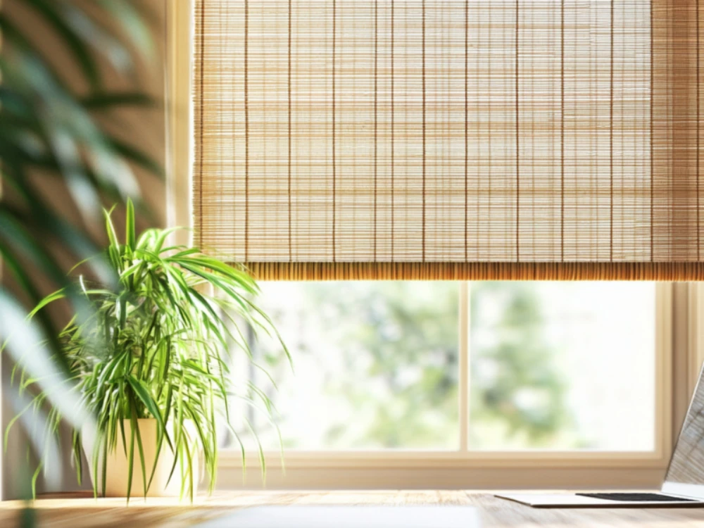 woven shades with a plant in the corner